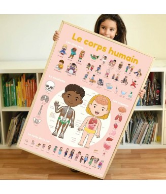 Poster en stickers - Corps Humain / 4 ans +