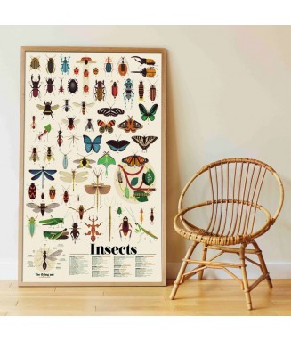Poster en stickers - INSECTES  / 6-12 ans